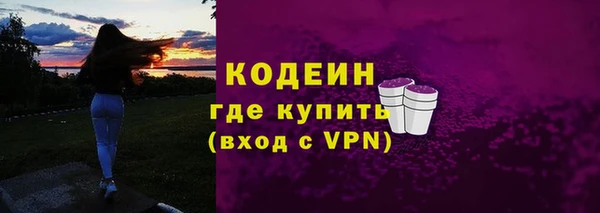 дмт Лагань