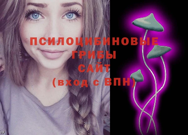 дмт Лагань