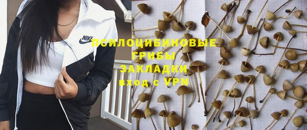 дмт Лагань