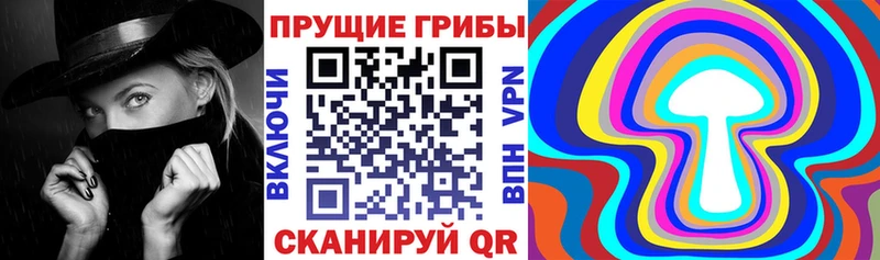 Купить  Ельня  Галлюциногенные грибы Psilocybine cubensis 