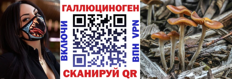 Псилоцибиновые грибы прущие грибы Ельня